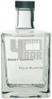 Godet Antarctica 0.5L